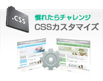 CSS