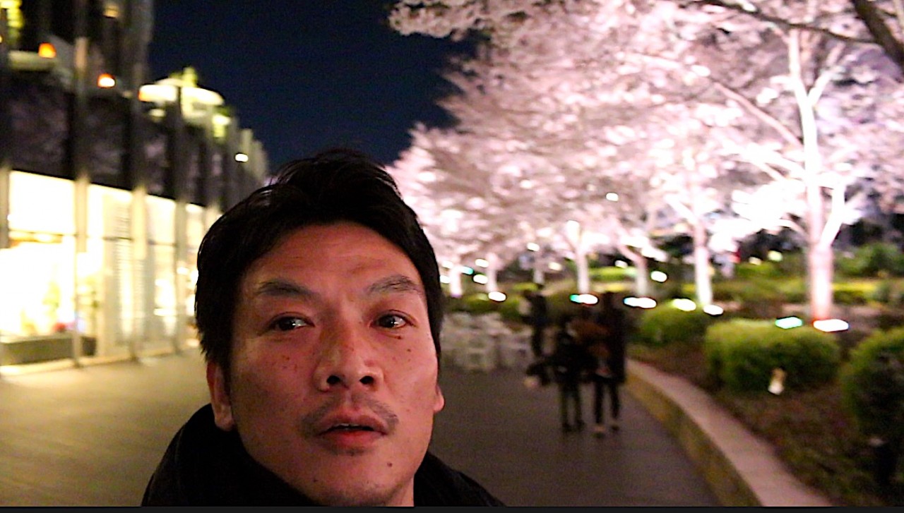 六本木ミッドタウンへ、夜桜見に行ってきました^^ 
